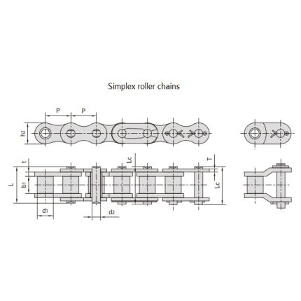 B series short pitch precision roller chains