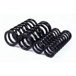 hydraulic valve springs