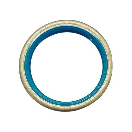 SB type skeleton oil seal
