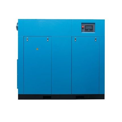 double stage variable frequency screw air compressor
