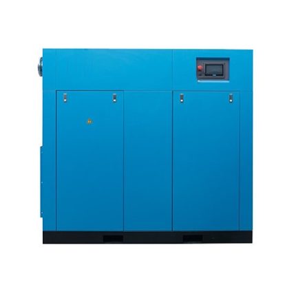 two stage variable frequency screw air compressor